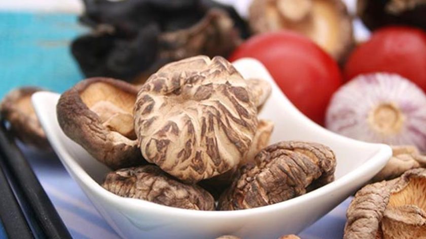 Magic and fly agaric Muscari