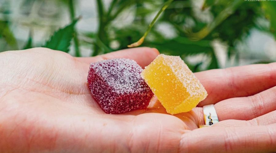 The Best Time to Take Delta 10 THC Gummies for Optimal Effects